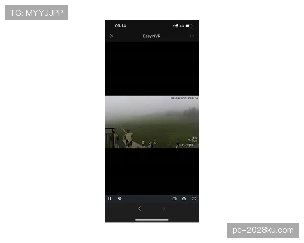 H组潜在黑马全景观察 H组潜在黑马全景观察